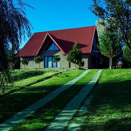 Guesthouse Vila Melisa Rasvadu de Sus ภายนอก รูปภาพ
