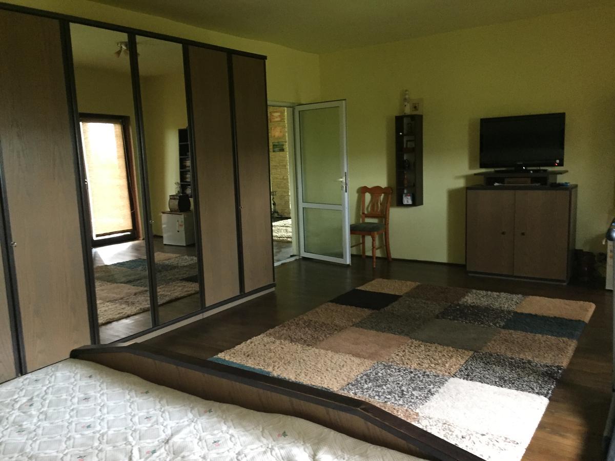 Guesthouse Vila Melisa Rasvadu de Sus ภายนอก รูปภาพ