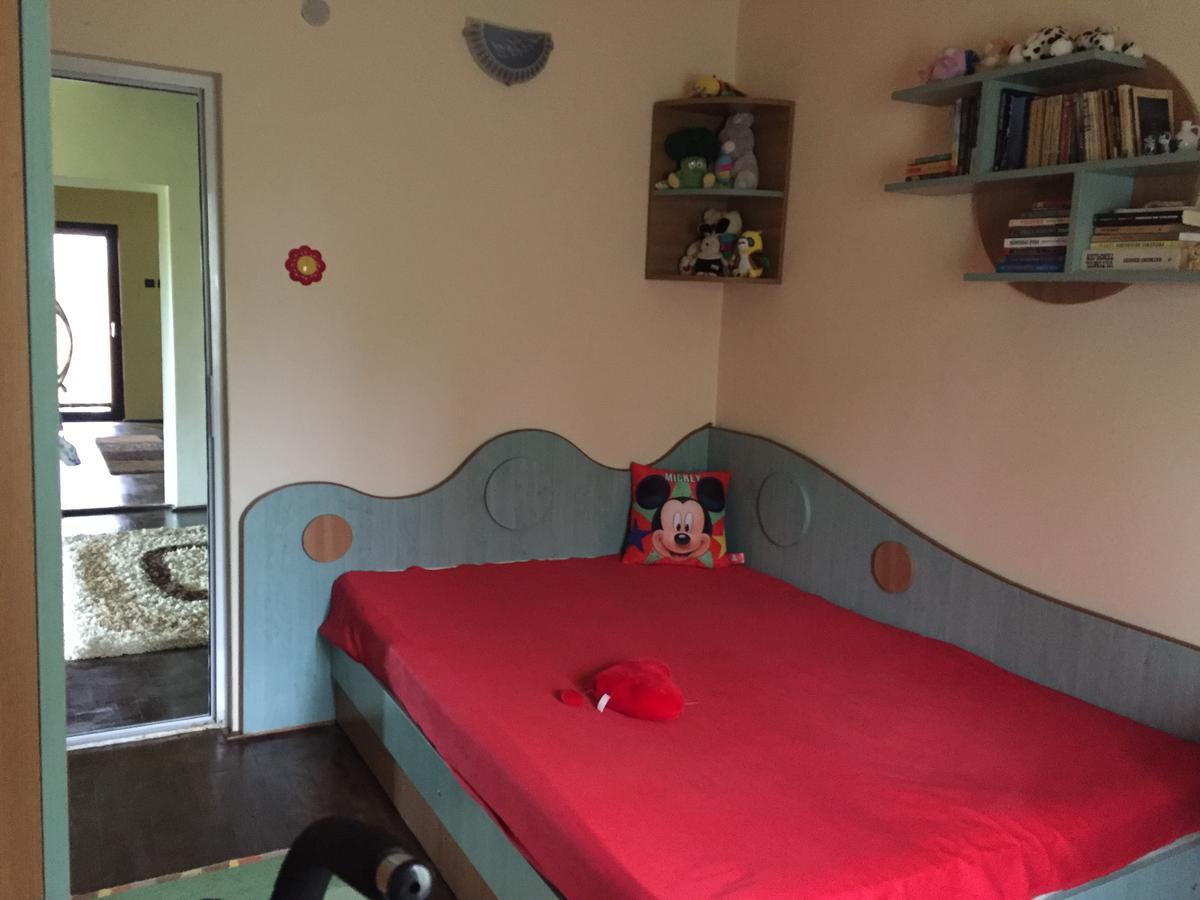 Guesthouse Vila Melisa Rasvadu de Sus ภายนอก รูปภาพ