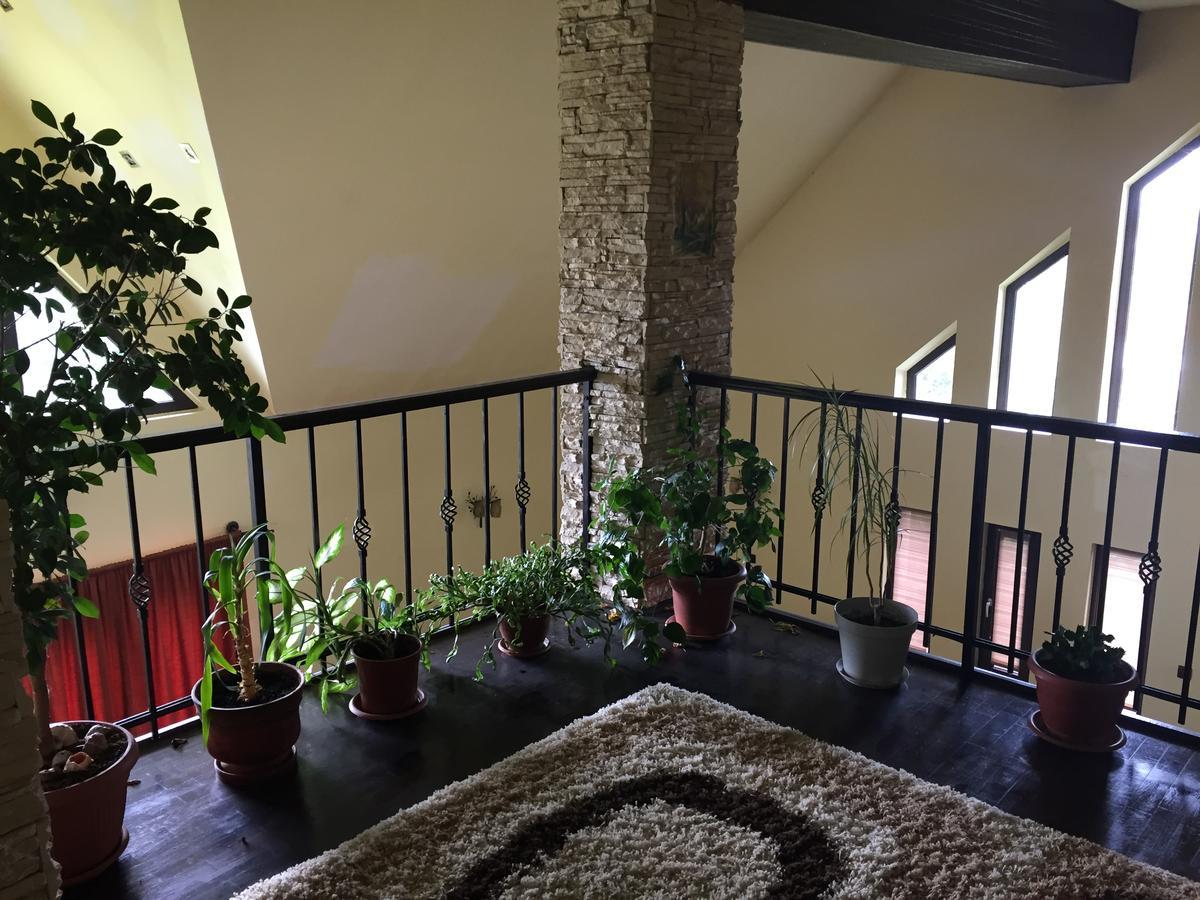 Guesthouse Vila Melisa Rasvadu de Sus ภายนอก รูปภาพ