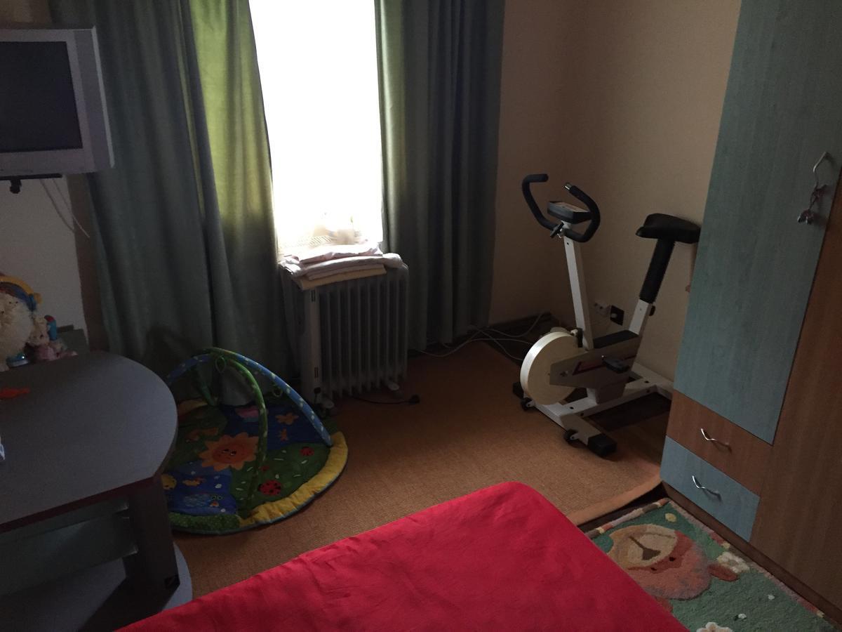Guesthouse Vila Melisa Rasvadu de Sus ภายนอก รูปภาพ