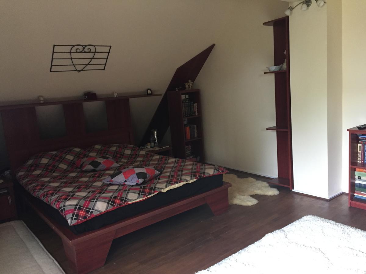 Guesthouse Vila Melisa Rasvadu de Sus ภายนอก รูปภาพ