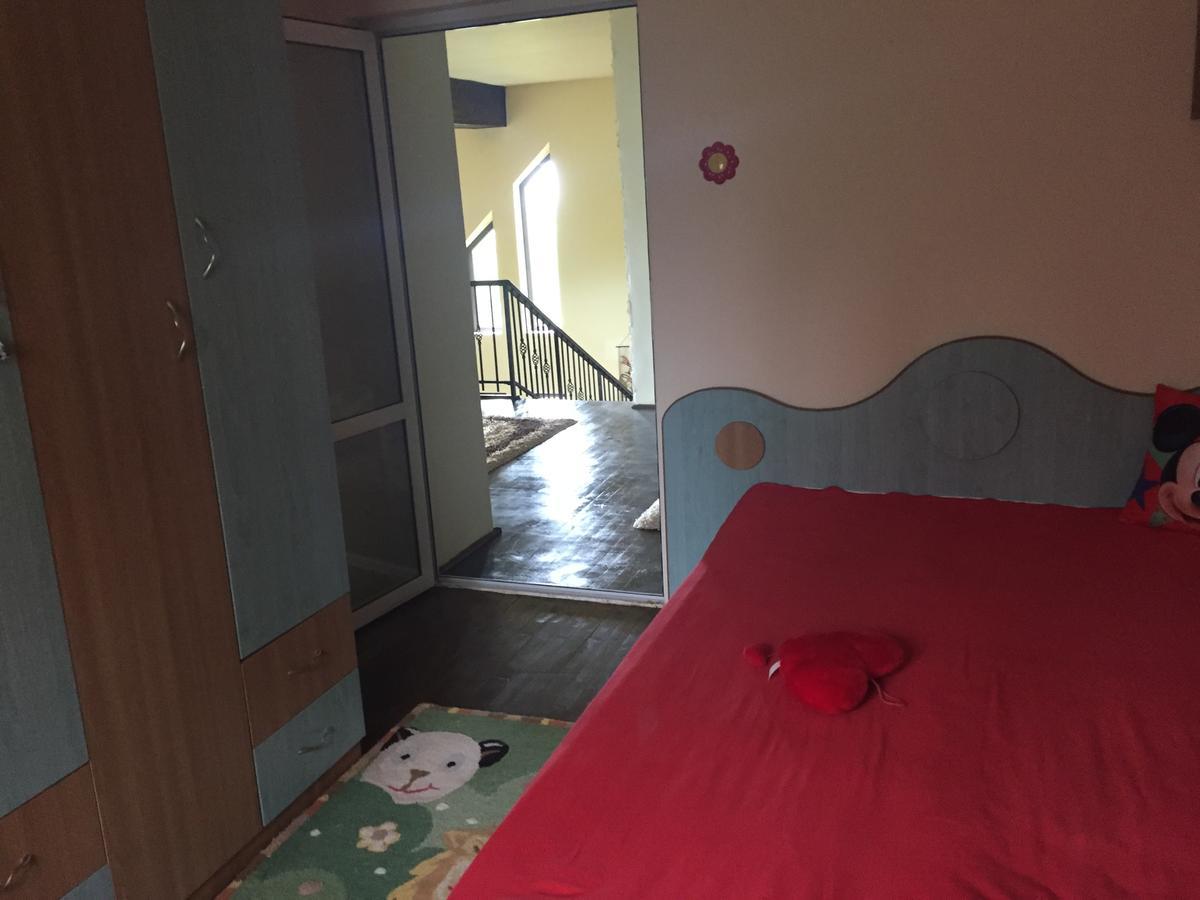 Guesthouse Vila Melisa Rasvadu de Sus ภายนอก รูปภาพ