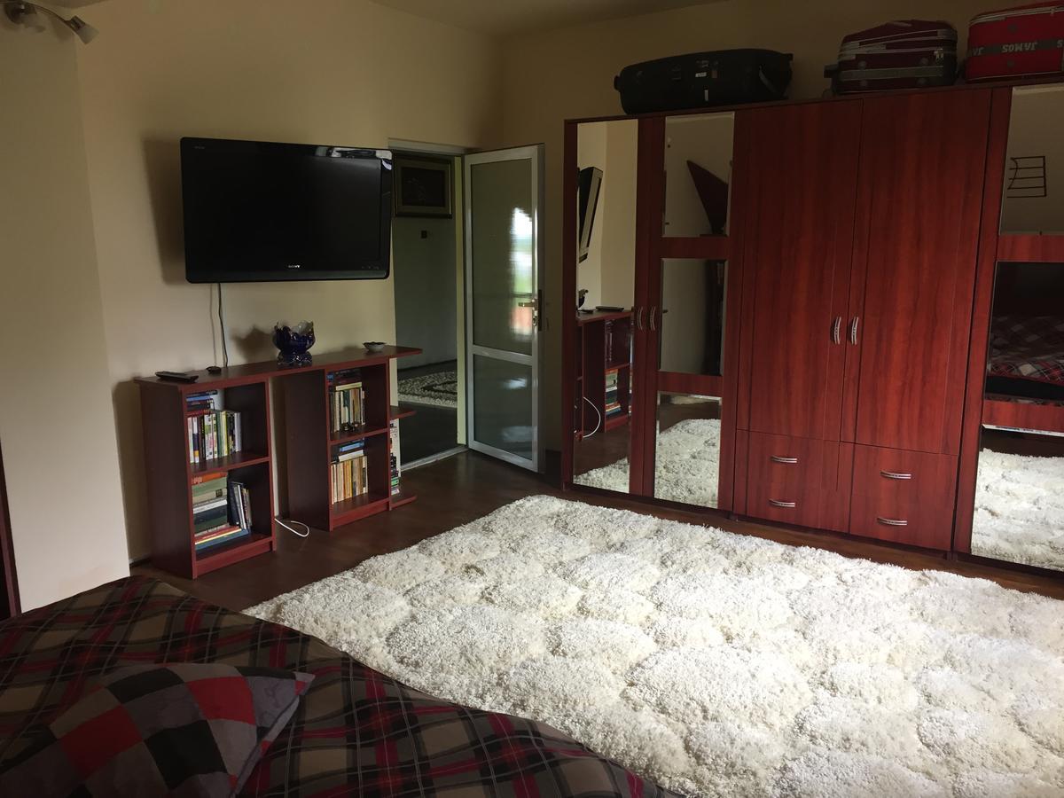 Guesthouse Vila Melisa Rasvadu de Sus ภายนอก รูปภาพ