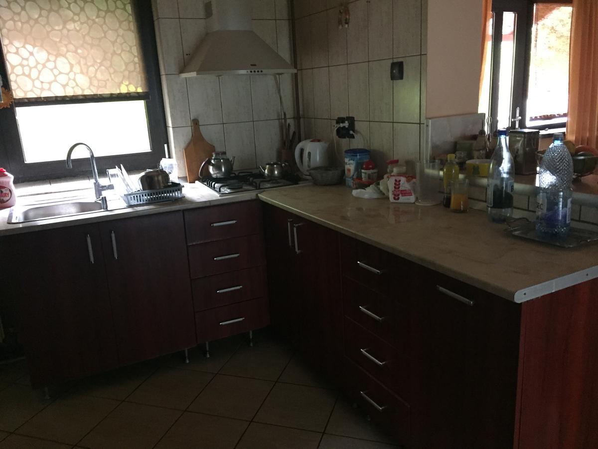 Guesthouse Vila Melisa Rasvadu de Sus ภายนอก รูปภาพ