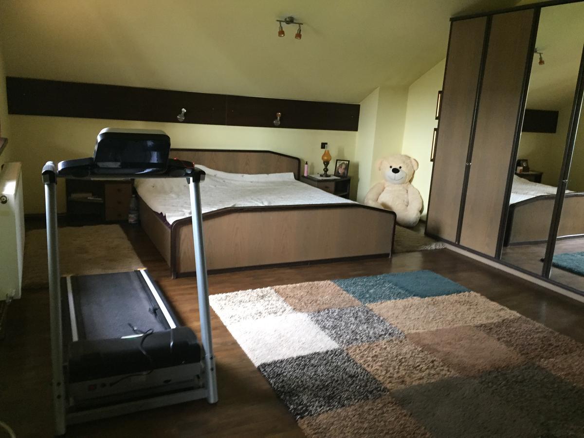 Guesthouse Vila Melisa Rasvadu de Sus ภายนอก รูปภาพ
