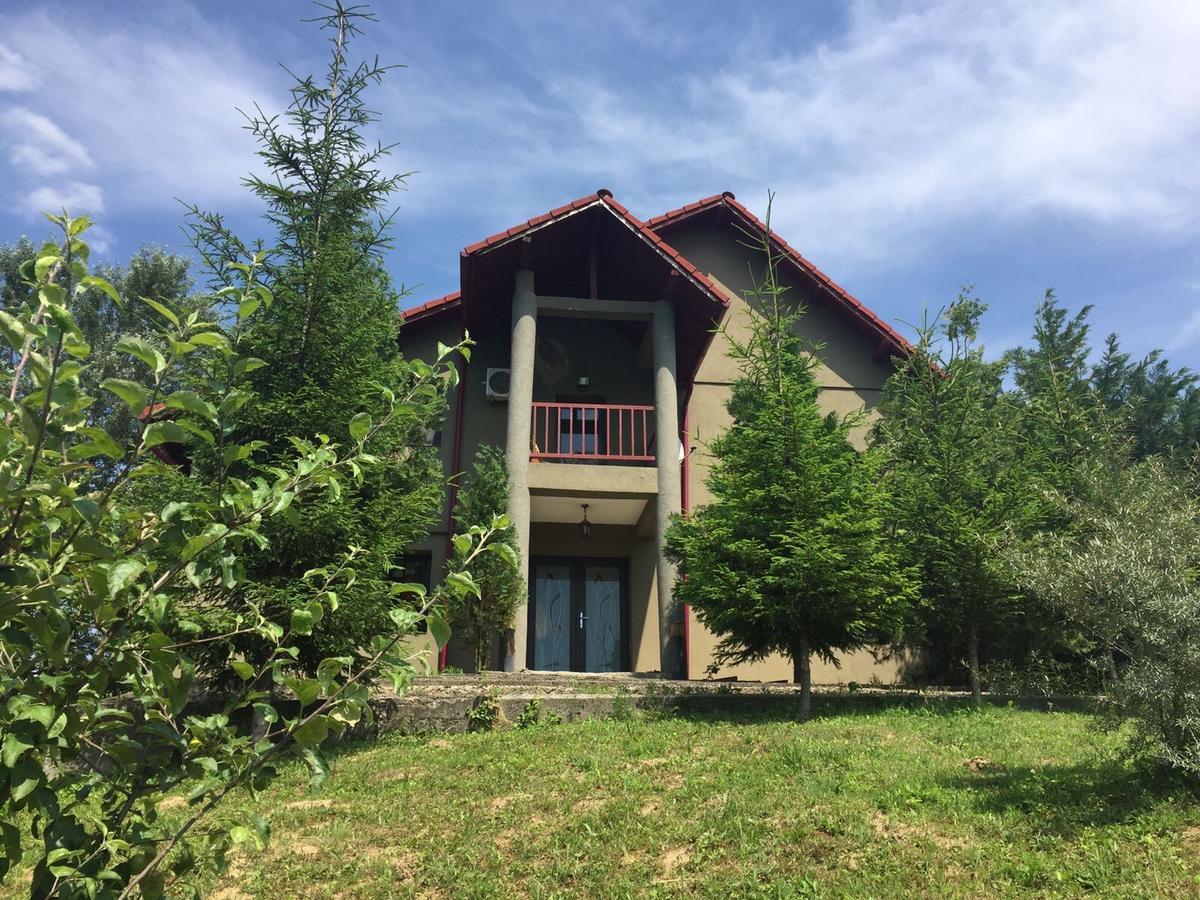 Guesthouse Vila Melisa Rasvadu de Sus ภายนอก รูปภาพ