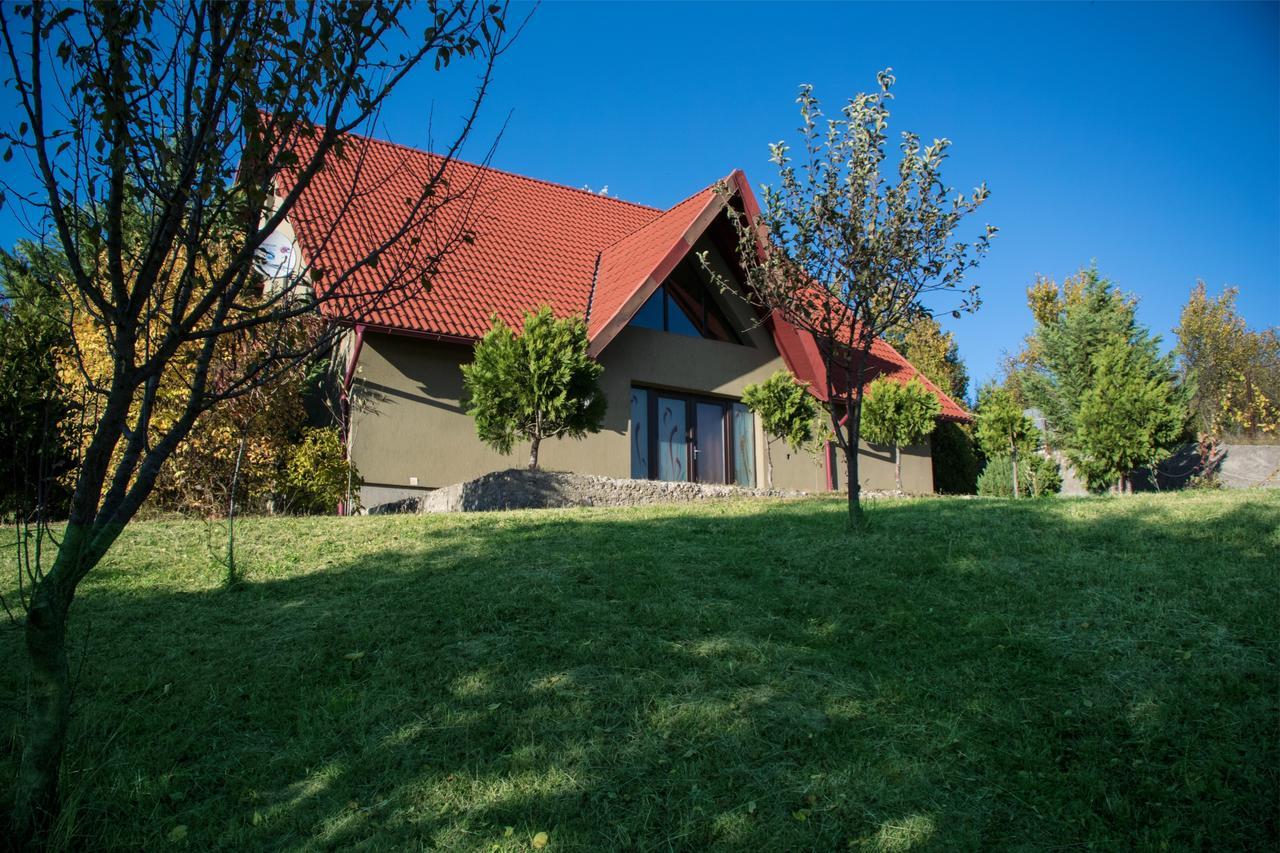 Guesthouse Vila Melisa Rasvadu de Sus ภายนอก รูปภาพ