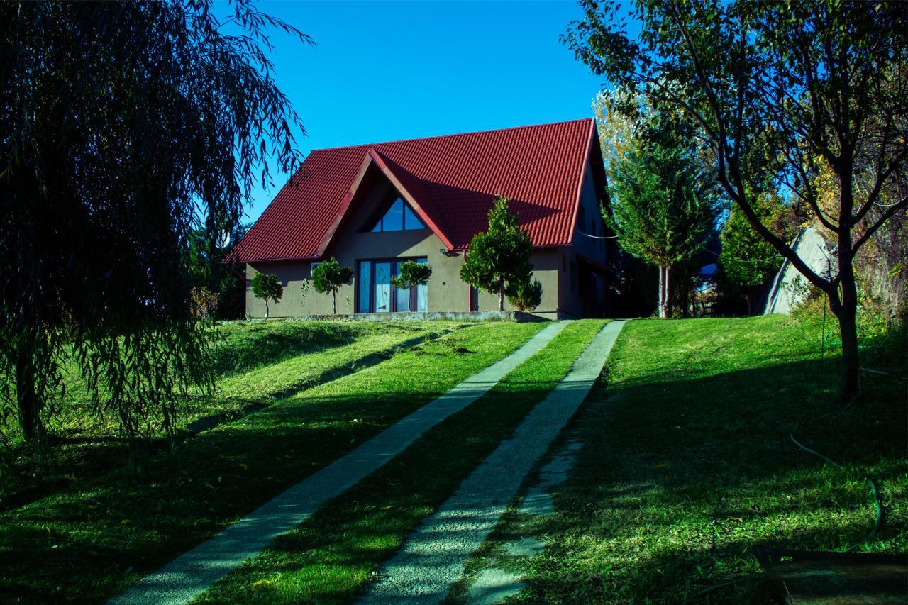 Guesthouse Vila Melisa Rasvadu de Sus ภายนอก รูปภาพ